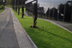 plantation 2