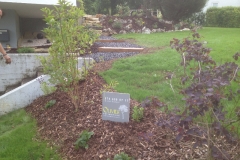 plantation 4