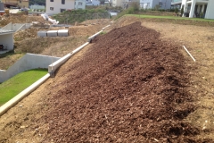 grand talu 7